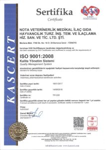 ISO-9001