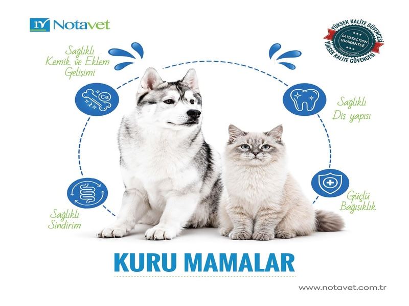 Kuru  Mamalar