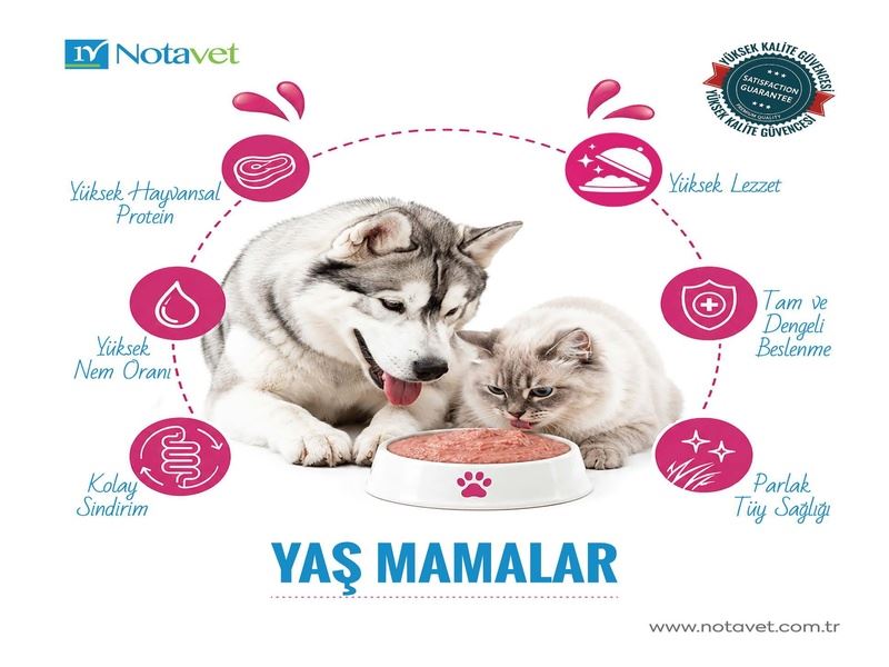 Yaş Mamalar