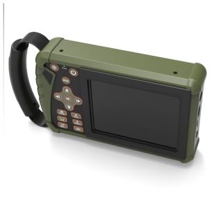 DW-VET 6