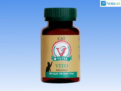 Vetsa Cat Vito